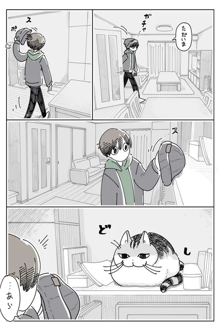 帽子置かせて https://nekonavi.jp/catblog/archives/86916