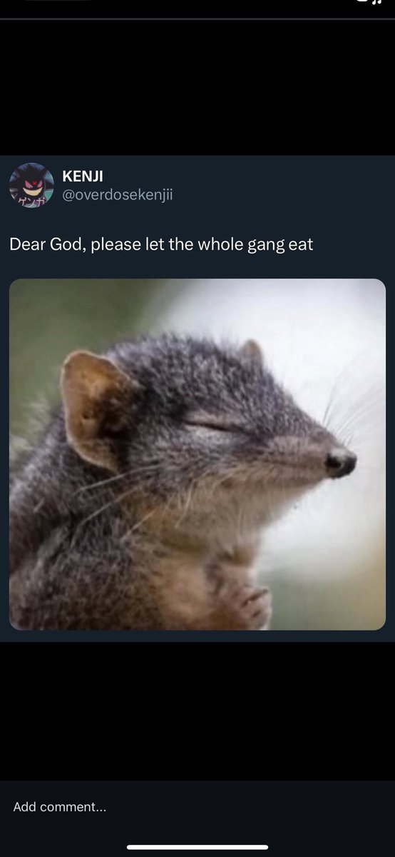 The Rat Race (@race_the18808) on Twitter photo 