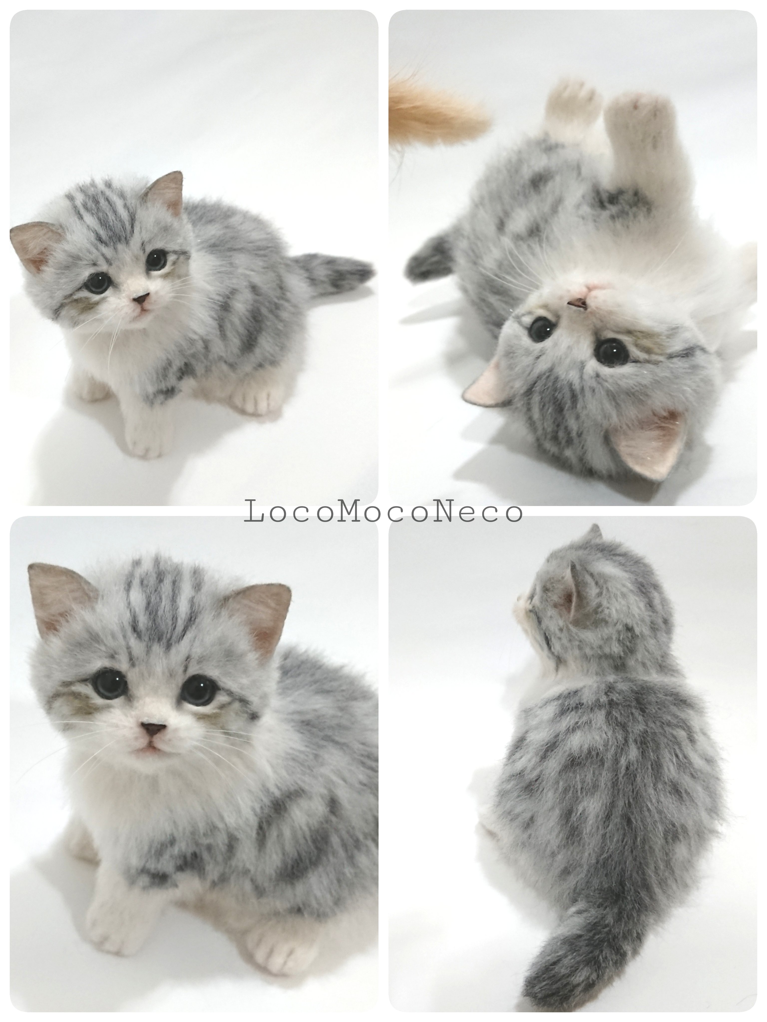 LocoMocoNeco 羊毛フェルト ちょこんとお座りマンチカンの子猫