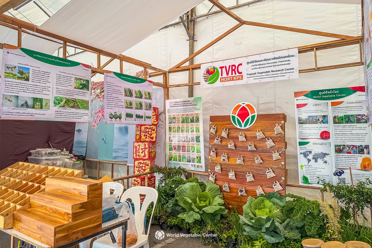 Join us at the World Vegetable Center x TVRC booth at KU Fair 2025! Explore cutting-edge agri-innovations from Jan 31 - Feb 8 at Kasetsart University, Bangkhen. Don’t miss it! #KUFair2025 #FutureOfFarming