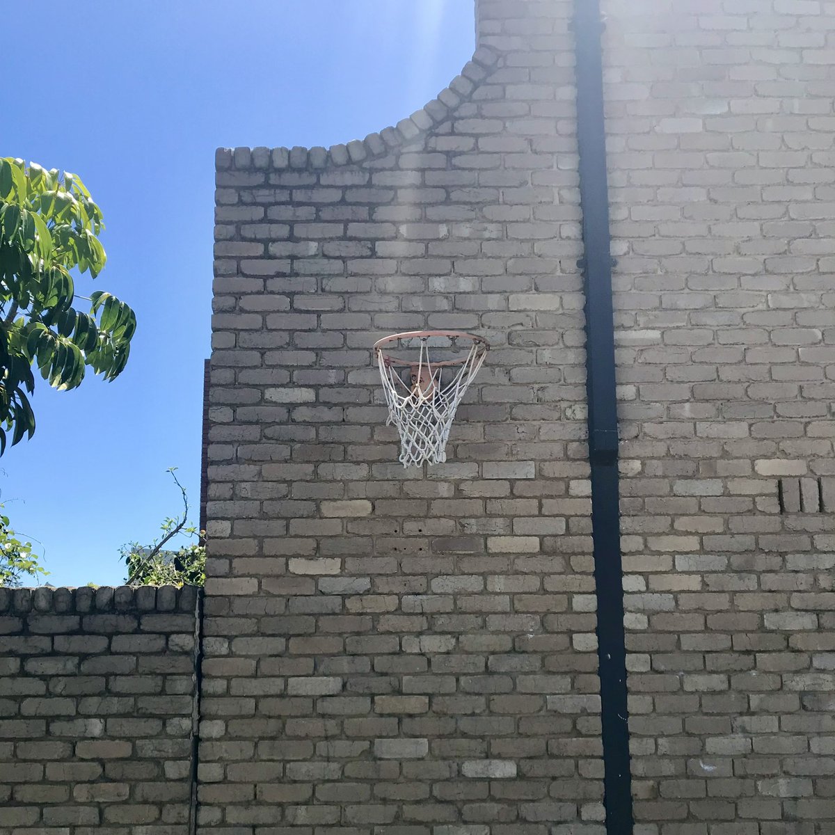 Chris Ames tweet media