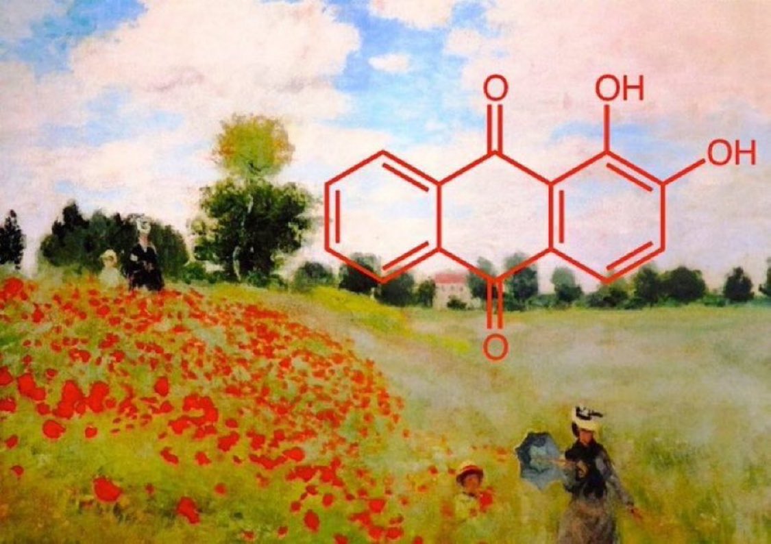 eedcAndy's tweet photo. State of the art #InspireYourHeartWithArtDay Oil paintings in galleries will have used a pigment bound in eg linseed oil from flax. The red of a poppy may be due to the pigment Alizarin Crimson, containing the red dye alizarin from Madder plant roots #inthered #rootofthemadder https://t.co/gnvk5oowS8