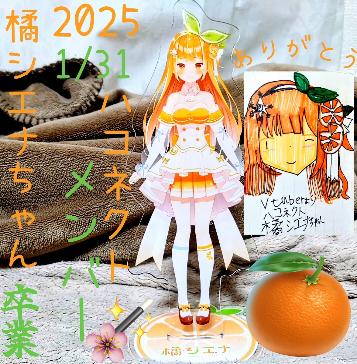Hanahanaです(´◡` )♩ 橘シエナ 🍊🌱❄️@卒業しました (@tachibana_haco) / X