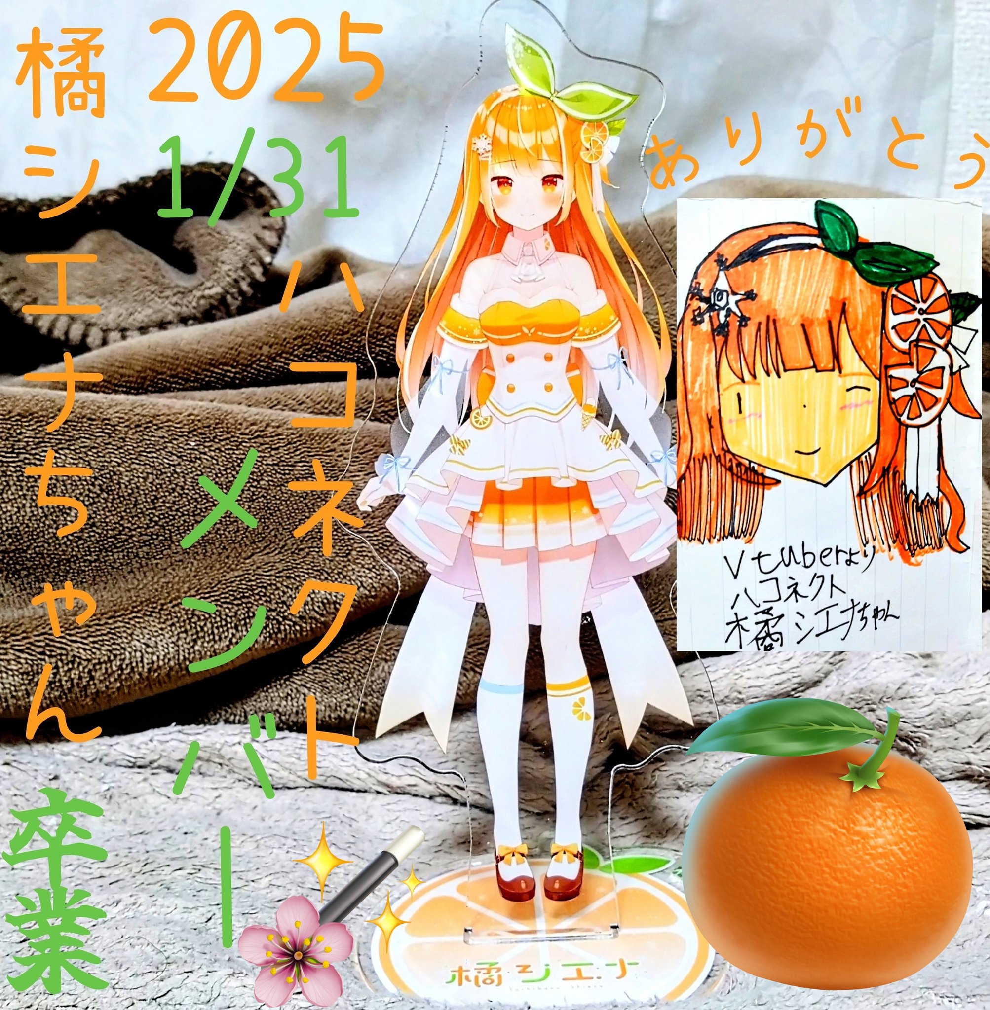 橘シエナ 🍊🌱❄️@卒業しました (@tachibana_haco) / X