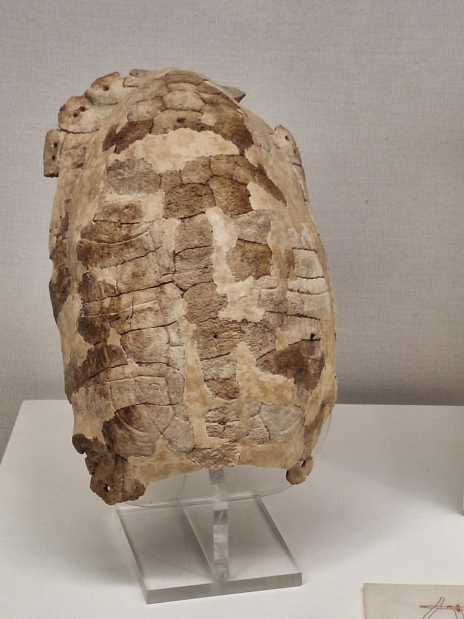 dolphinhellas's tweet photo. The Archeological Museum of Piraeus is, undeniably, a hidden gem! Its collection of bronze statues is truly magnificent and in its inconspicuous glass displays one can find unique exhibits that even the largest and richest archeological museums in the country would envy! https://t.co/kN2GaEqrzG