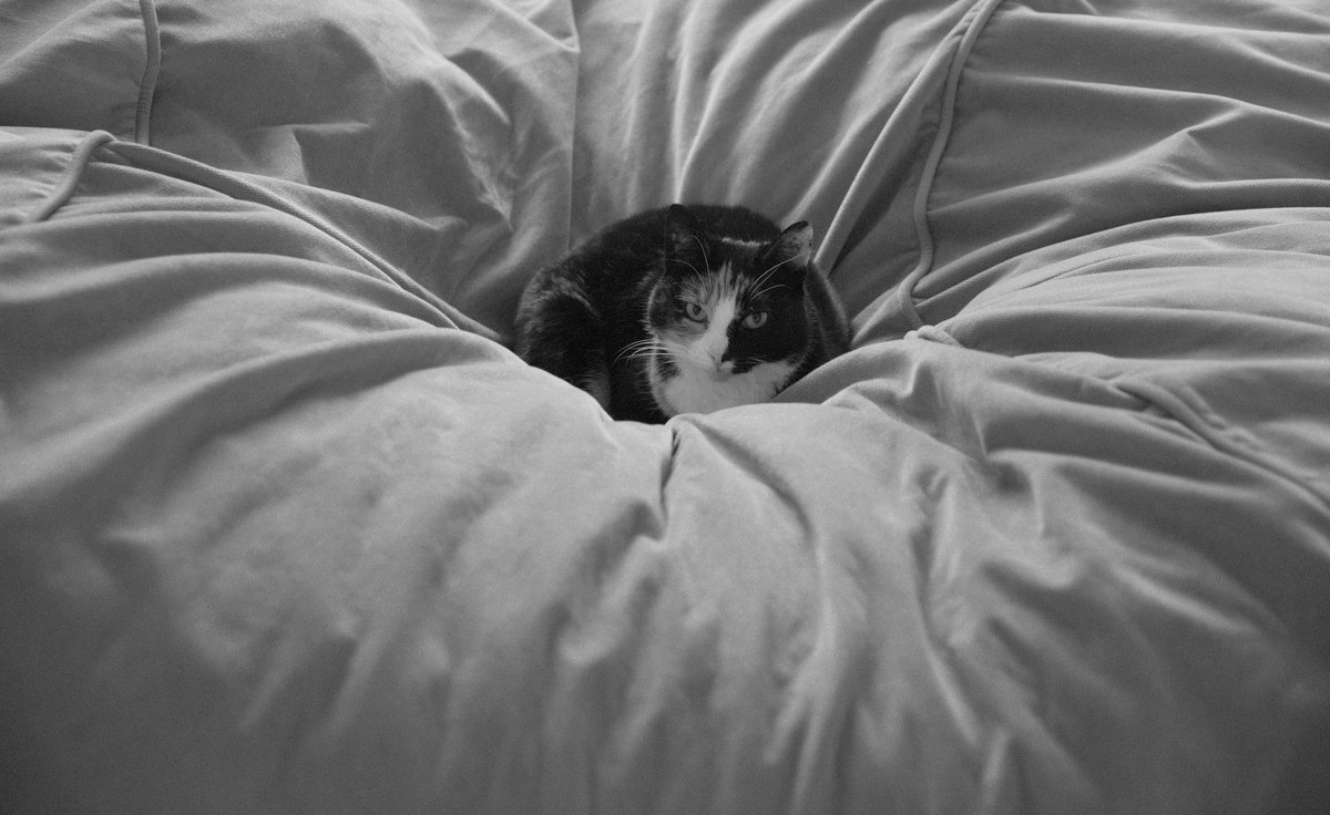 Groeten uit Oss 📷 🇺🇦 tweet media