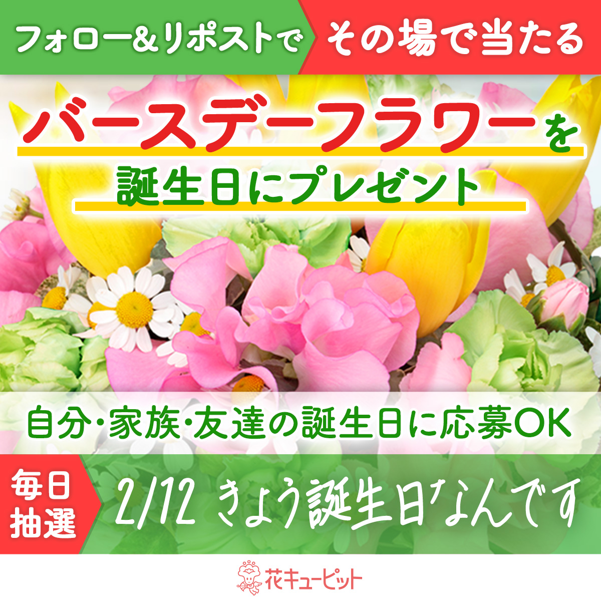 i8791's tweet photo. ／
フォロー＆リポストキャンペーン
その場で当選！お花プレゼント🌸
＼
#きょう誕生日なんです 🎉
#花キューピット が当日配達でお祝い

🎁毎日抽選🎁
1️⃣@i8791をフォロー
2️⃣2/12 10:00迄に本投稿をリポスト
当選者に即DM😊
昼12時までに贈り先を入力✍
https://t.co/7EiVkPAJiq https://t.co/DvtOcNdE8k