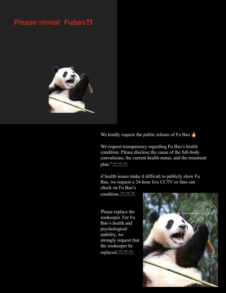 VB1Z0wk4nU66939's tweet photo. 🚨🚨 Please reveal Fubao!!🚨🚨
#SaveFubao
#福宝
#PandaDiplomacy
#AnimalWelfare
#PETA
#China
#Shenshuping
#WildlifeConservation
#WorldAnimalProtection
#中国新华社广播
#卧龙中华大熊猫苑 https://t.co/32WlSJp9JN
