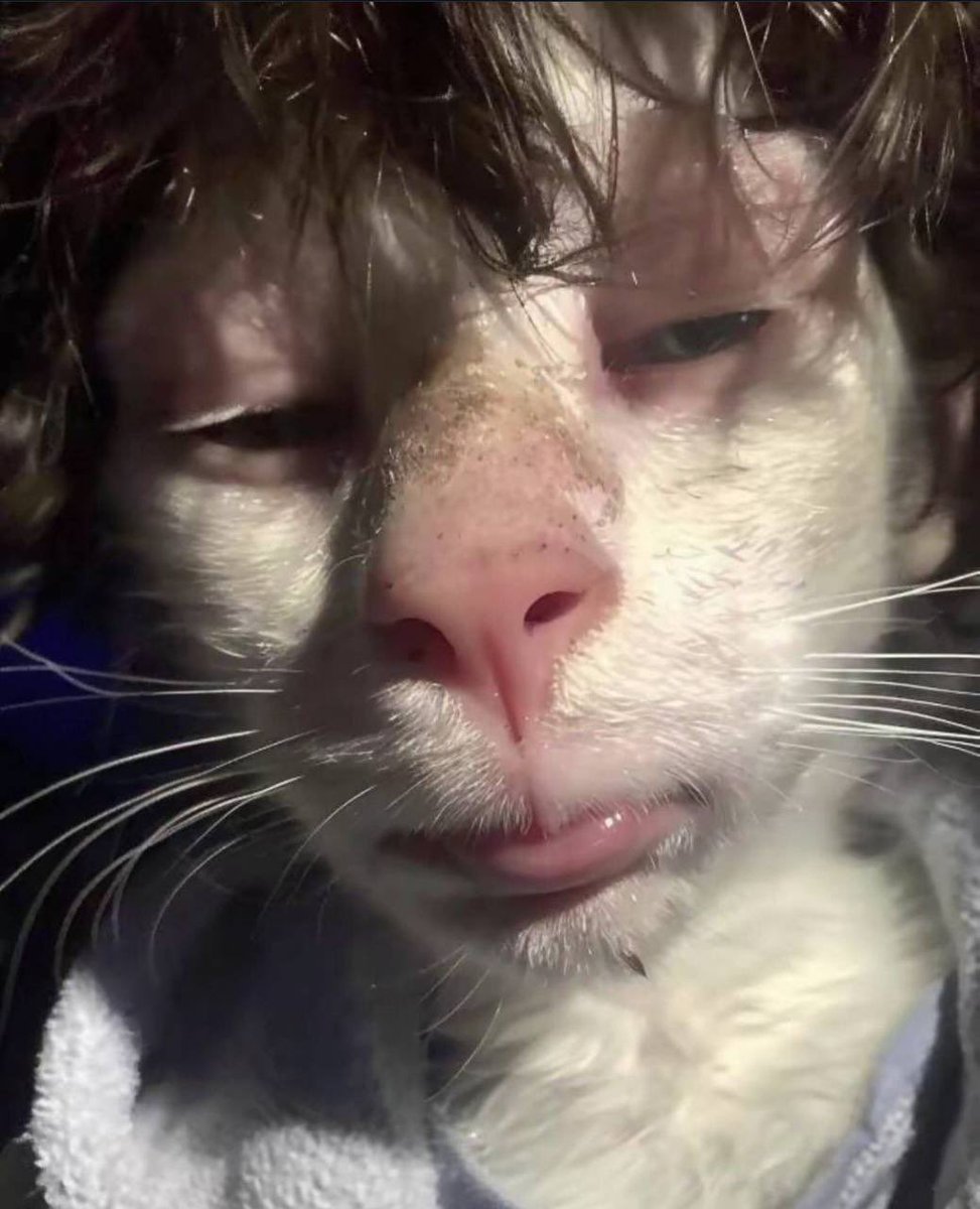 Мешаня tweet media