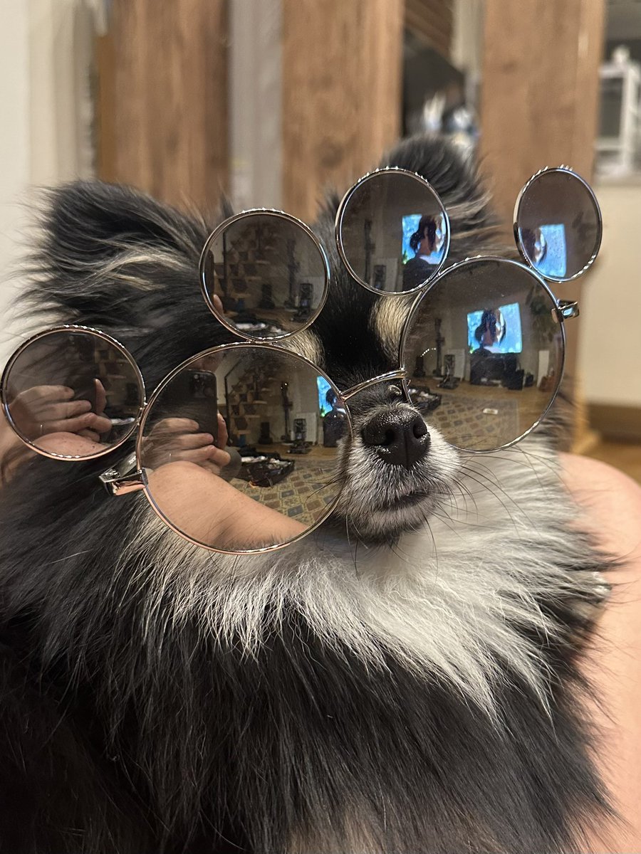 #これがこうなる選手権