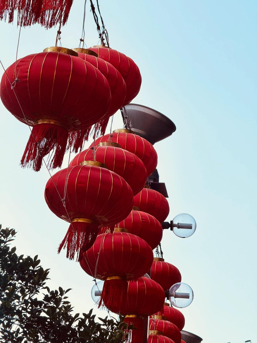 春節に彩りをそぐ