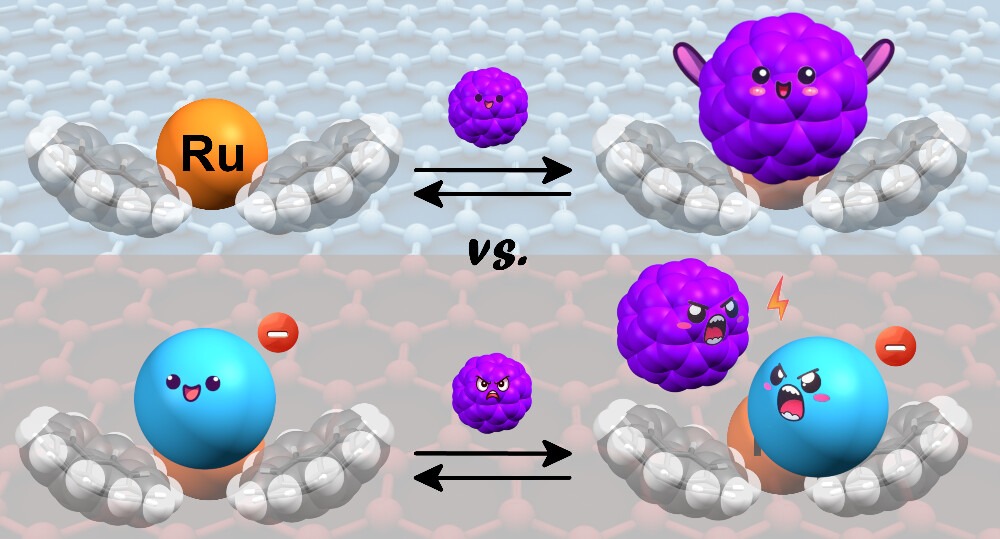 Celedonio Alvarez (@celedonioalvare) on Twitter photo We are happy to show our research in the last issue of the Inorganic Chemistry Journal of the <a href="/AmerChemSociety/">American Chemical Society</a> . We have developed a family of multitopic Ru(II)-polypyridyl complexes bearing six units of corannulene, offering three molecular tweezers. pubs.acs.org/doi/full/10.10… We are happy to show our research in the last issue of the Inorganic Chemistry Journal of the <a href="/AmerChemSociety/">American Chemical Society</a> . We have developed a family of multitopic Ru(II)-polypyridyl complexes bearing six units of corannulene, offering three molecular tweezers. pubs.acs.org/doi/full/10.10…