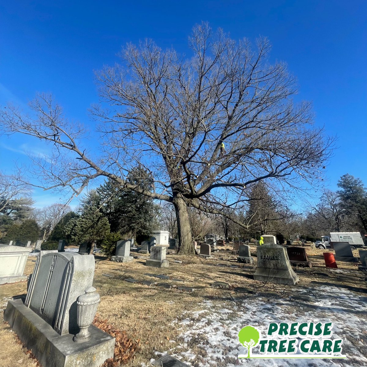 PreciseTreeCare's tweet photo. It was a beautiful day for working at Elmhurst Cemetery in Joliet earlier this week! Countdown to spring is on!  #TreeCareProfessionals #treecareindustry #TreeCare #treepros #certifiedarborists #wintertreecare #precisetreecare 🌳 ☀️ https://t.co/o6q5u0reT9