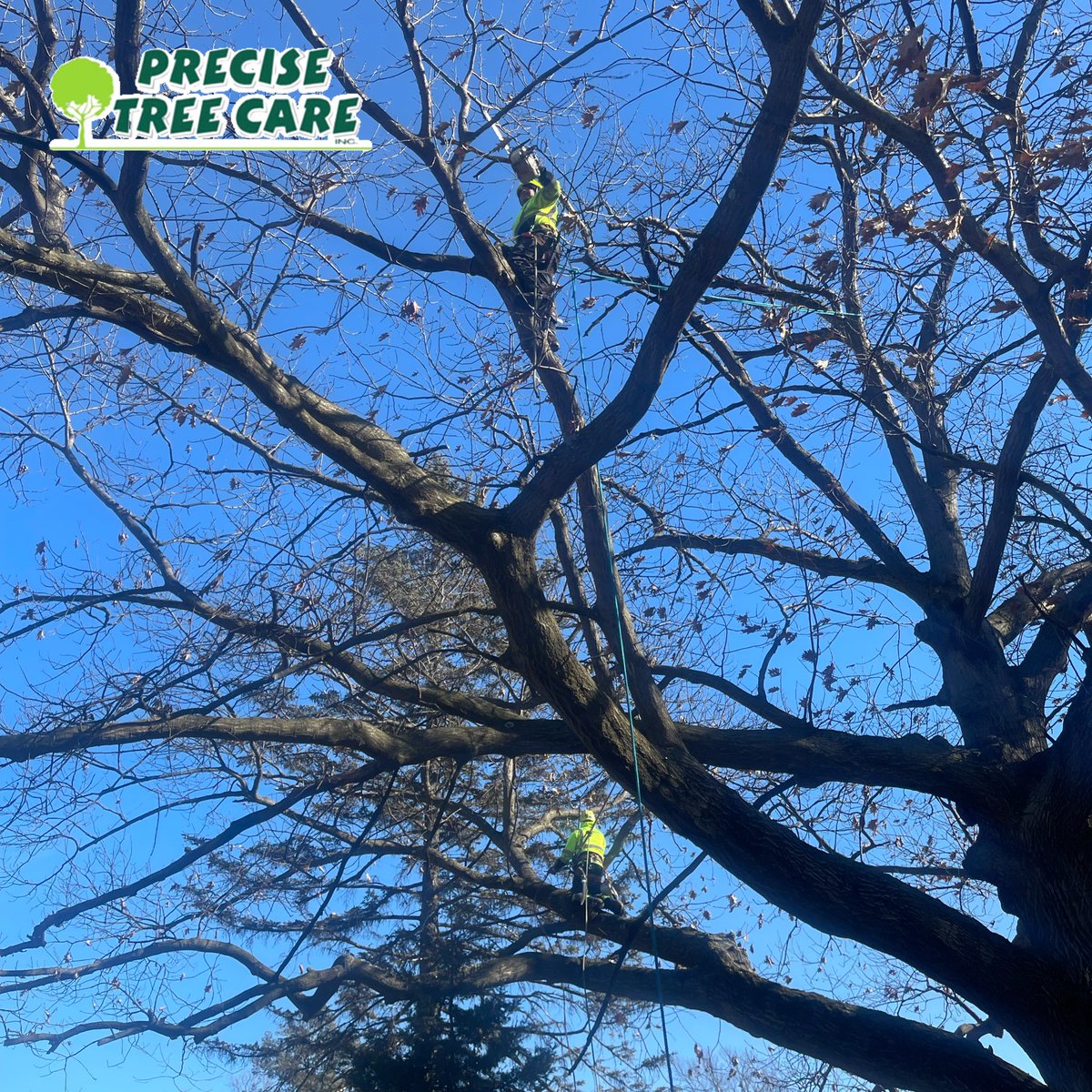 PreciseTreeCare's tweet photo. It was a beautiful day for working at Elmhurst Cemetery in Joliet earlier this week! Countdown to spring is on!  #TreeCareProfessionals #treecareindustry #TreeCare #treepros #certifiedarborists #wintertreecare #precisetreecare 🌳 ☀️ https://t.co/o6q5u0reT9