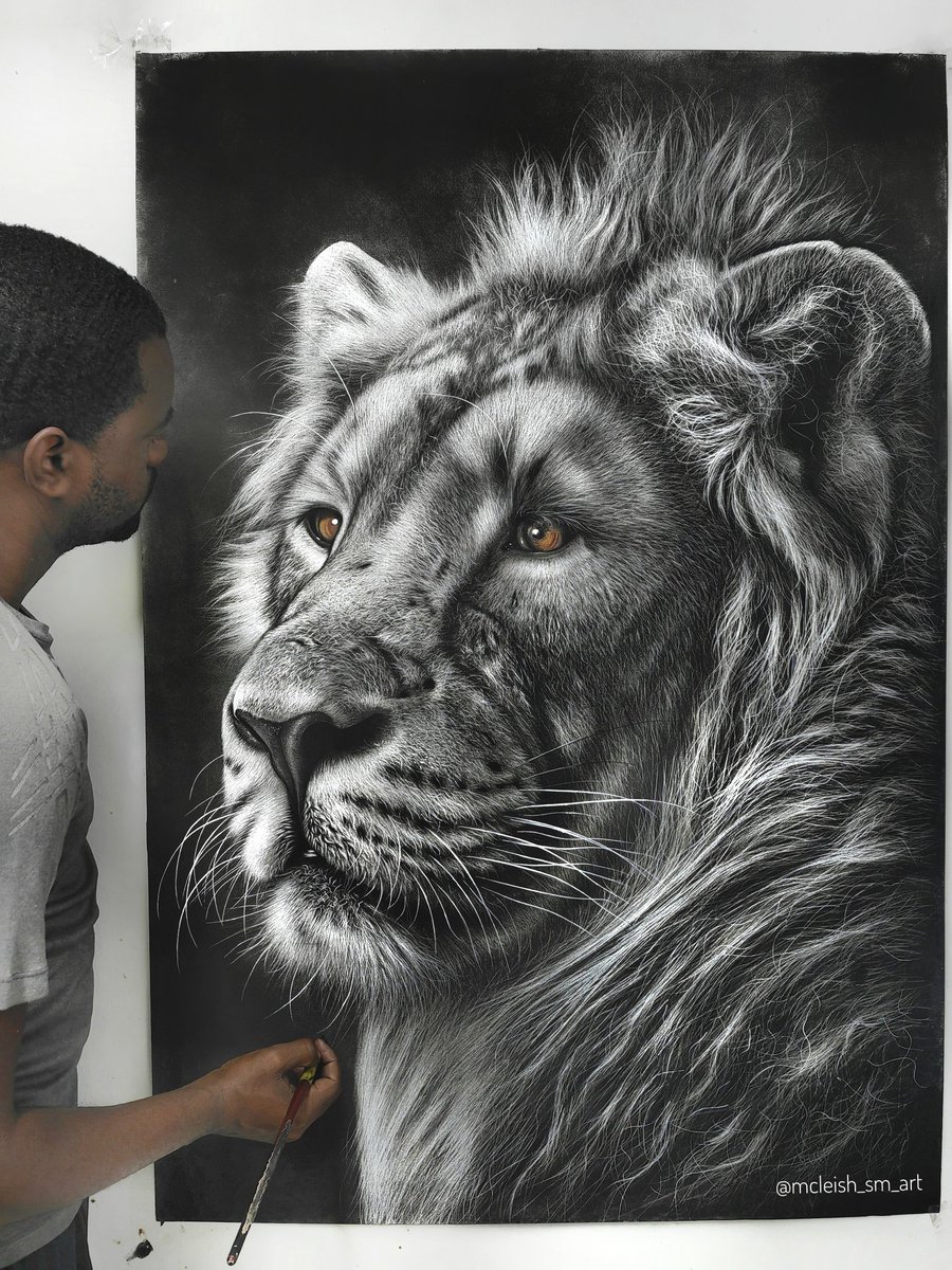 I spent 80 plus drawing this lion, hoping that wen l finally post it, you will lend me 5 seconds of your precious time to look at it😁