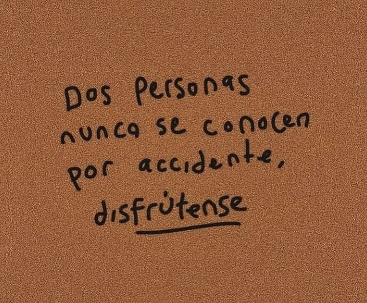 Texto Libre tweet media