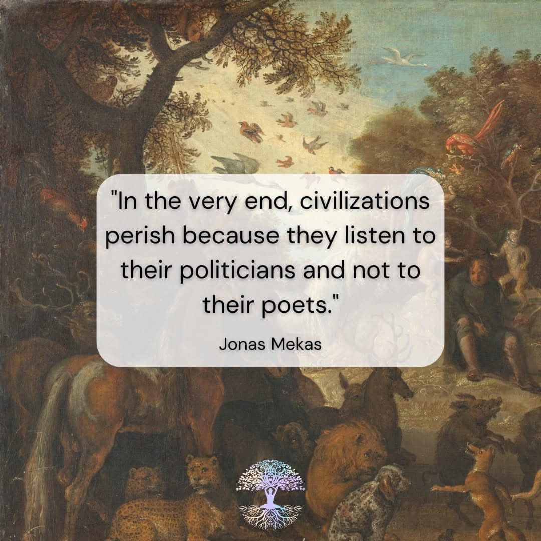 Robina Hearle (@robinahearle) on Twitter photo 