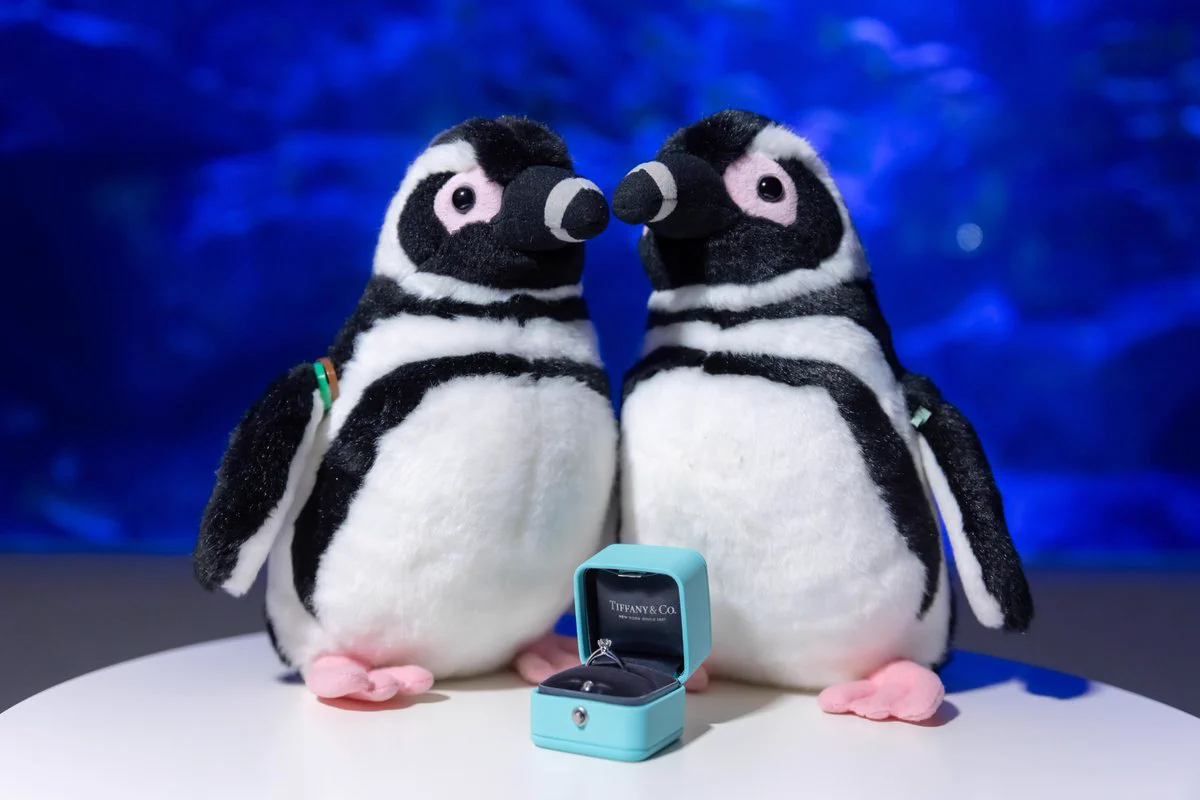 すみだ水族館【公式】 on X: 