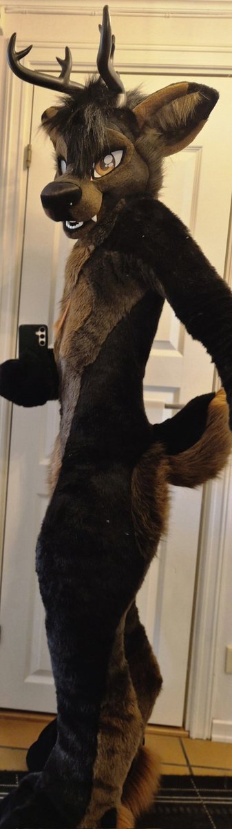 Side profile.

29 inches of Quyn.
#FursuitFriday