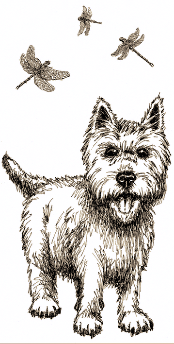 CraigKunce's tweet photo. Chapter book pen &amp; ink illustrations https://t.co/3oFWdExuKc