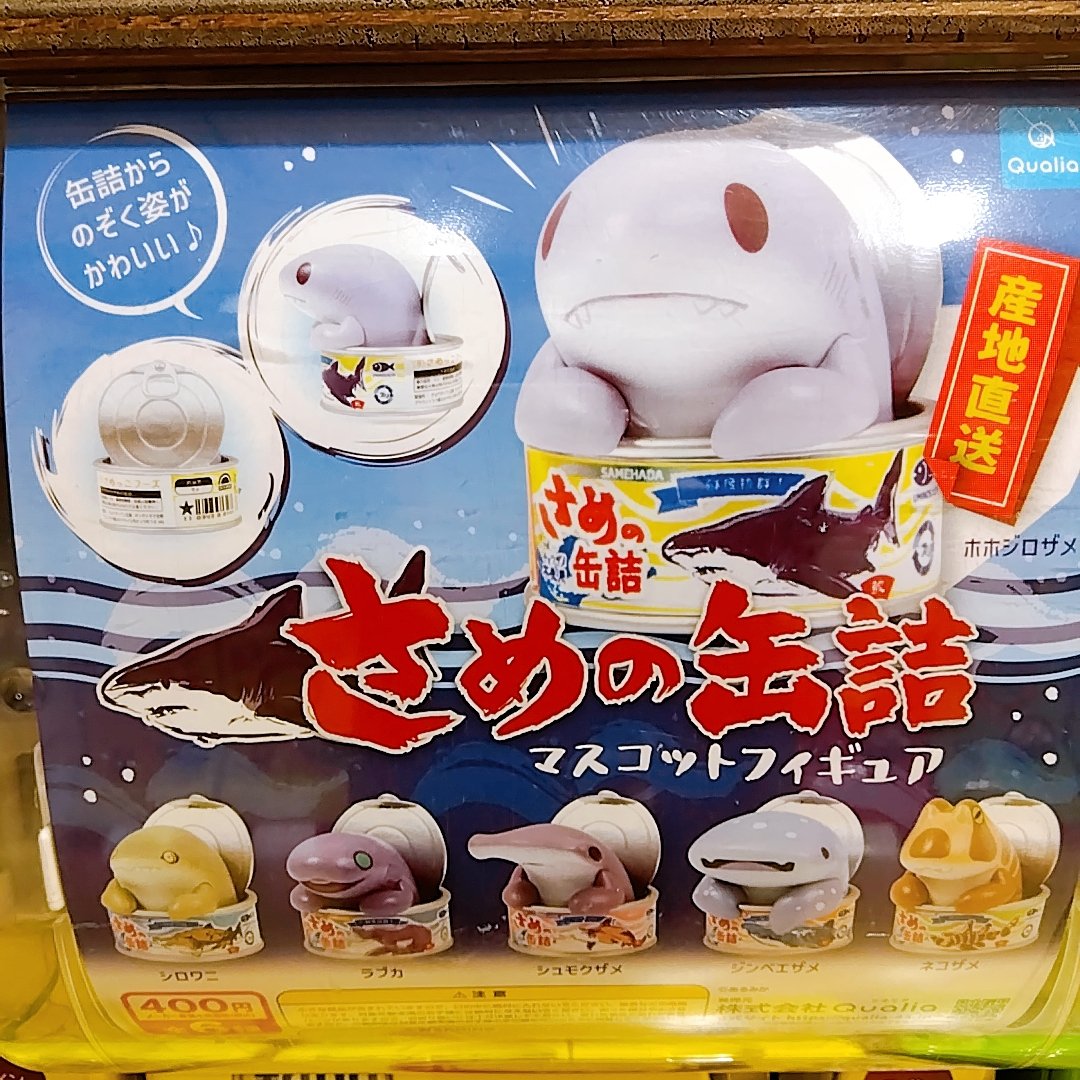 🥫🦈好評発売中🦈🥫 #Qualia ▫️さめの缶詰 マスコットフィギュア