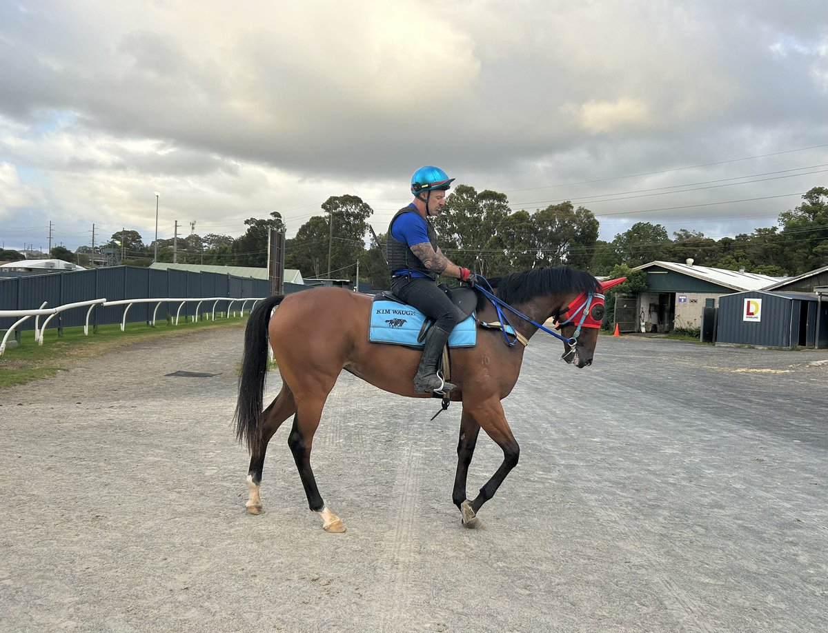 This beautiful girl now has a name “Gloria” (x Givem Hell for movie buffs). I hope you can run girl 😊