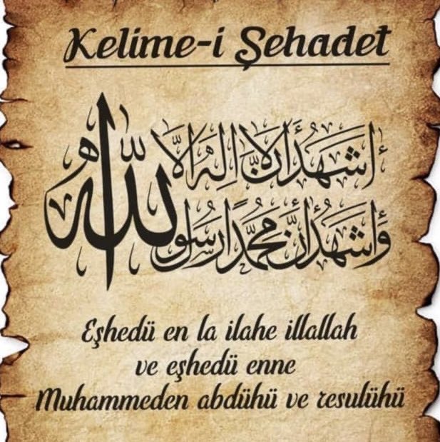 Raziye Ödemiş 🇹🇷 tweet media