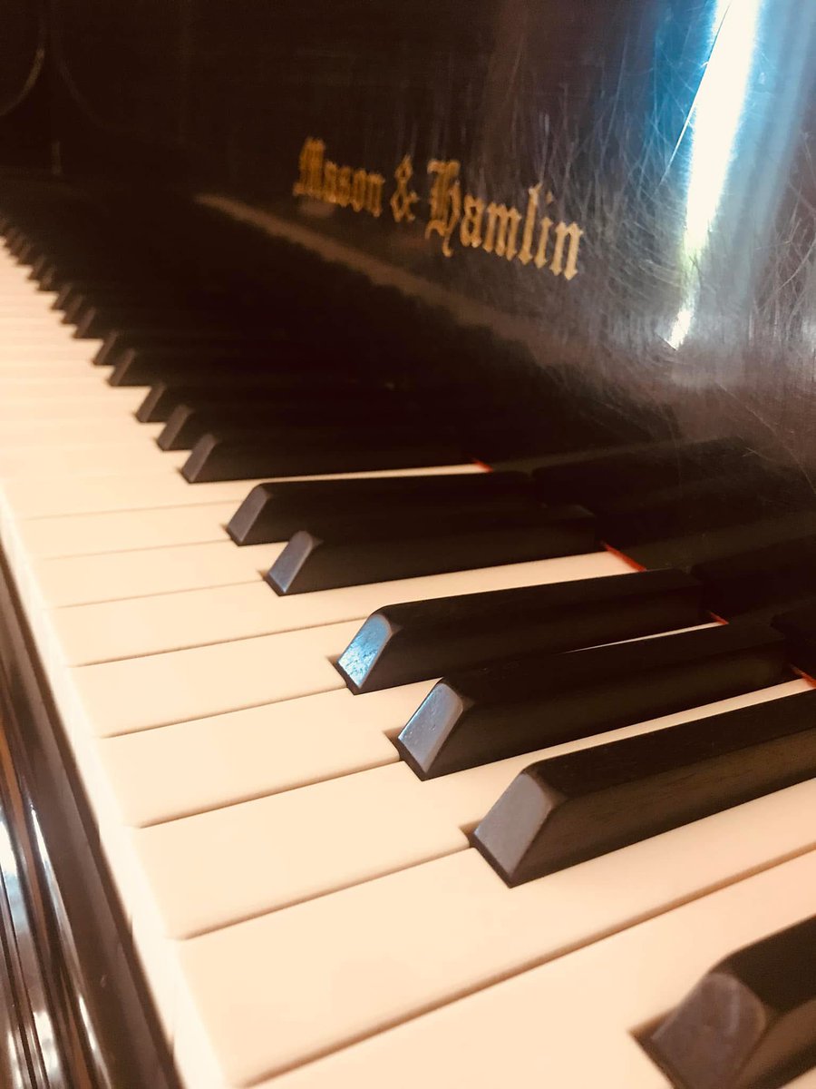 Art has taken a back seat as I prep for playing piano in a wedding this weekend. Should I make some shorts videos of some of the songs? Drop a piano emoji in the comments if you think so! 🎹