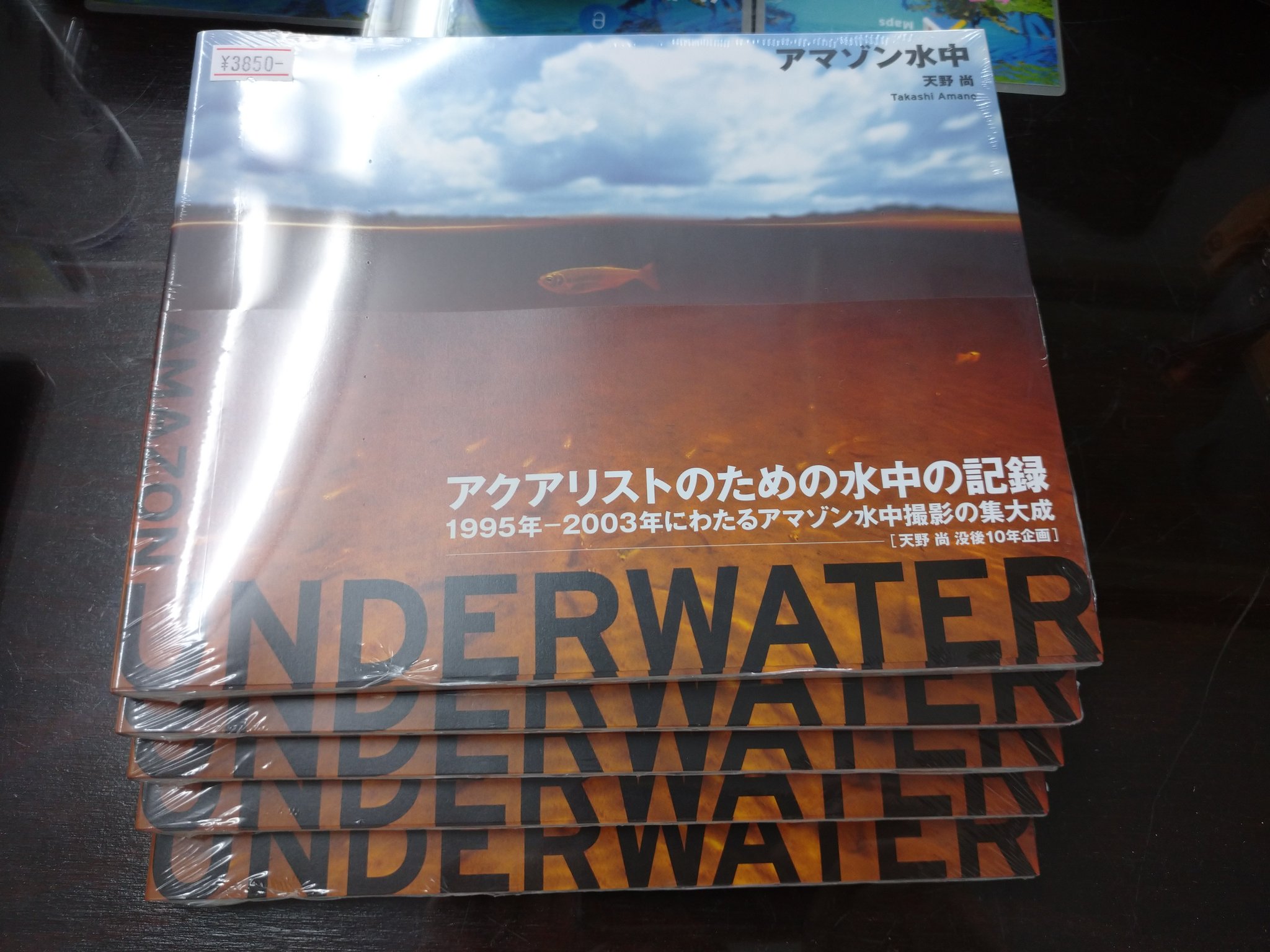 Amazon.co.jp: 最後のアマゾン: 天野尚写真集 : 天野 尚: 本