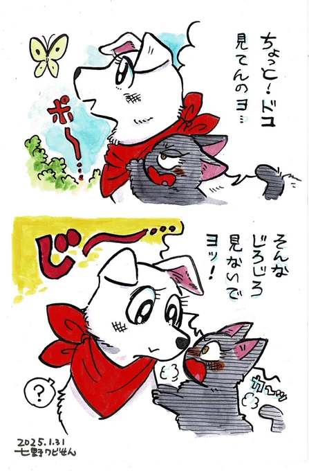 ユキちゃんとスズちゃん
「どっち?」 