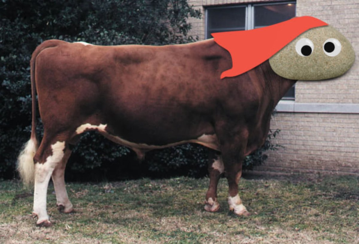 Nelo Threetwofive 🙈 tweet media