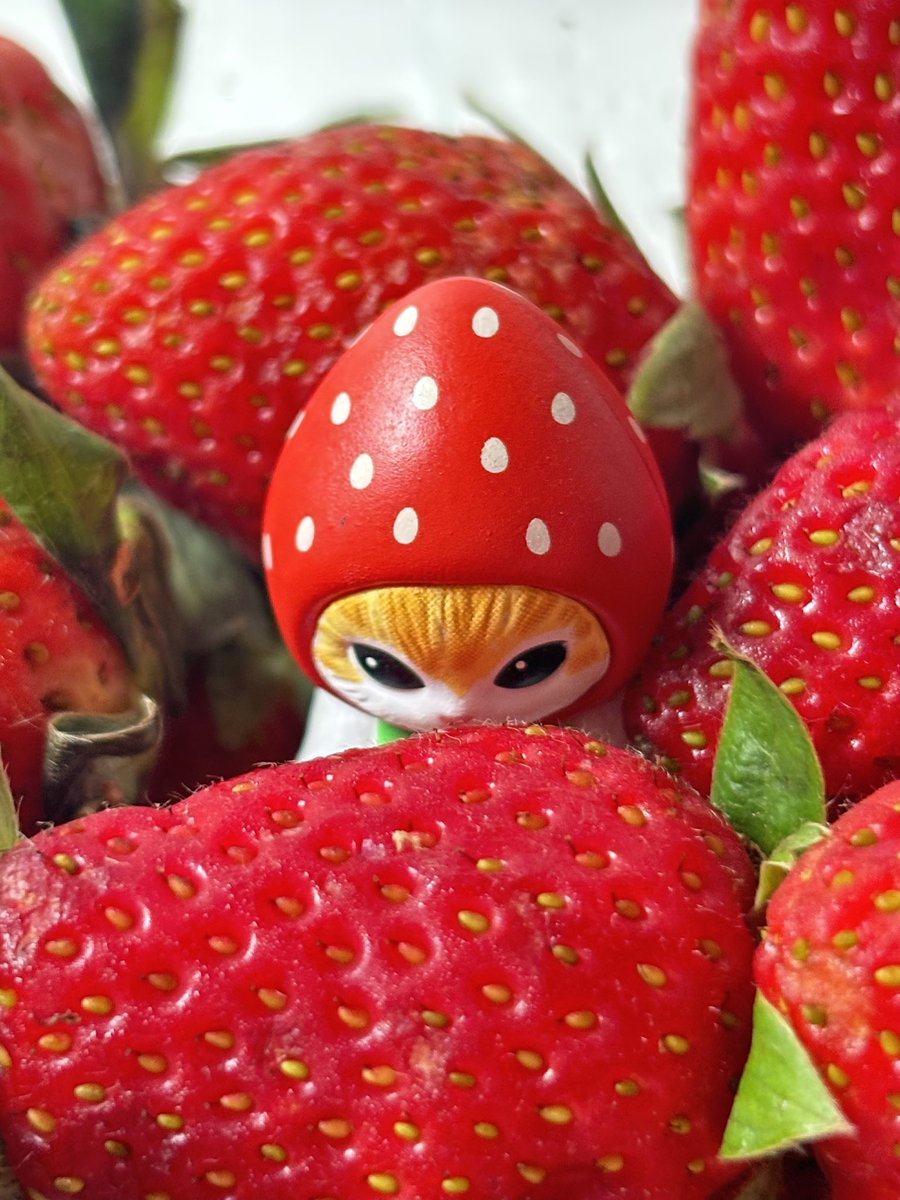 kay! ☆ tweet media