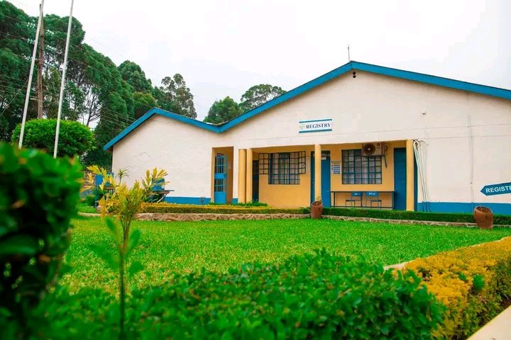 KaiboiTraining's tweet photo. Usifungiwe nje! Take the first step towards a successful career and join our vibrant community. Last call for January intake. #januaryintake2025 https://t.co/BFTZyTjxnf