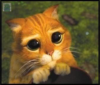 Tanyarlfes tweet media