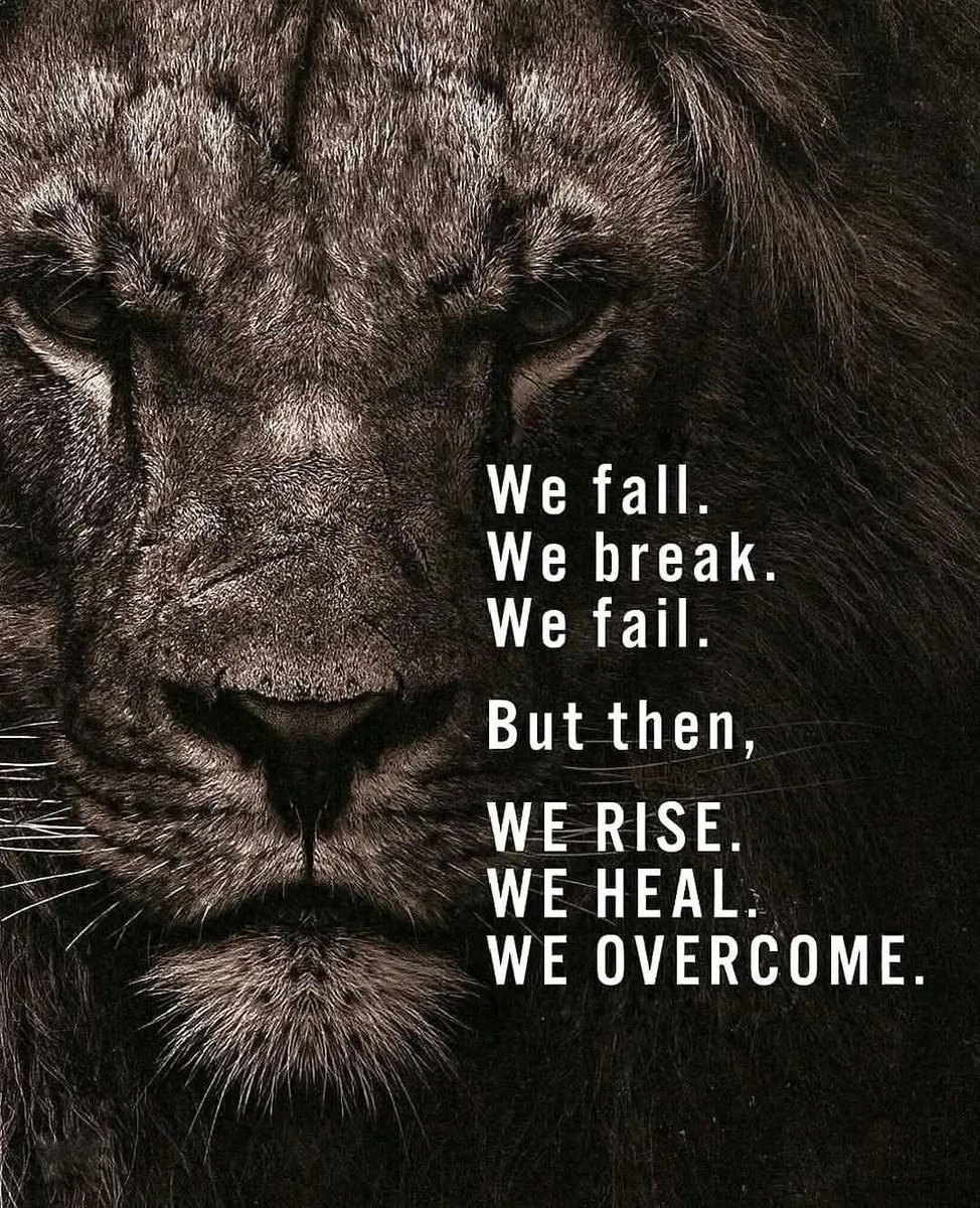 lionchild's tweet photo. https://t.co/vKUpgrsPeq