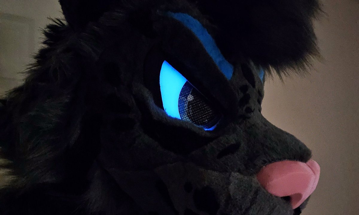 Cooper is done✅️!
Full Plantigrade Fursuit ready to travel home 🦘🇦🇺

Furhead made on a 3D printed base by Ab 3Design and designed by <a href="/D0ctor_Dingo/">Doctor Dingo Creations</a>
It has UV reactive eyes and an floor dagging tail 

#Fursuit #FurMaker #ChonkyTiel #ChonkyTielFursuits #ChonkyTielCreations #Furry