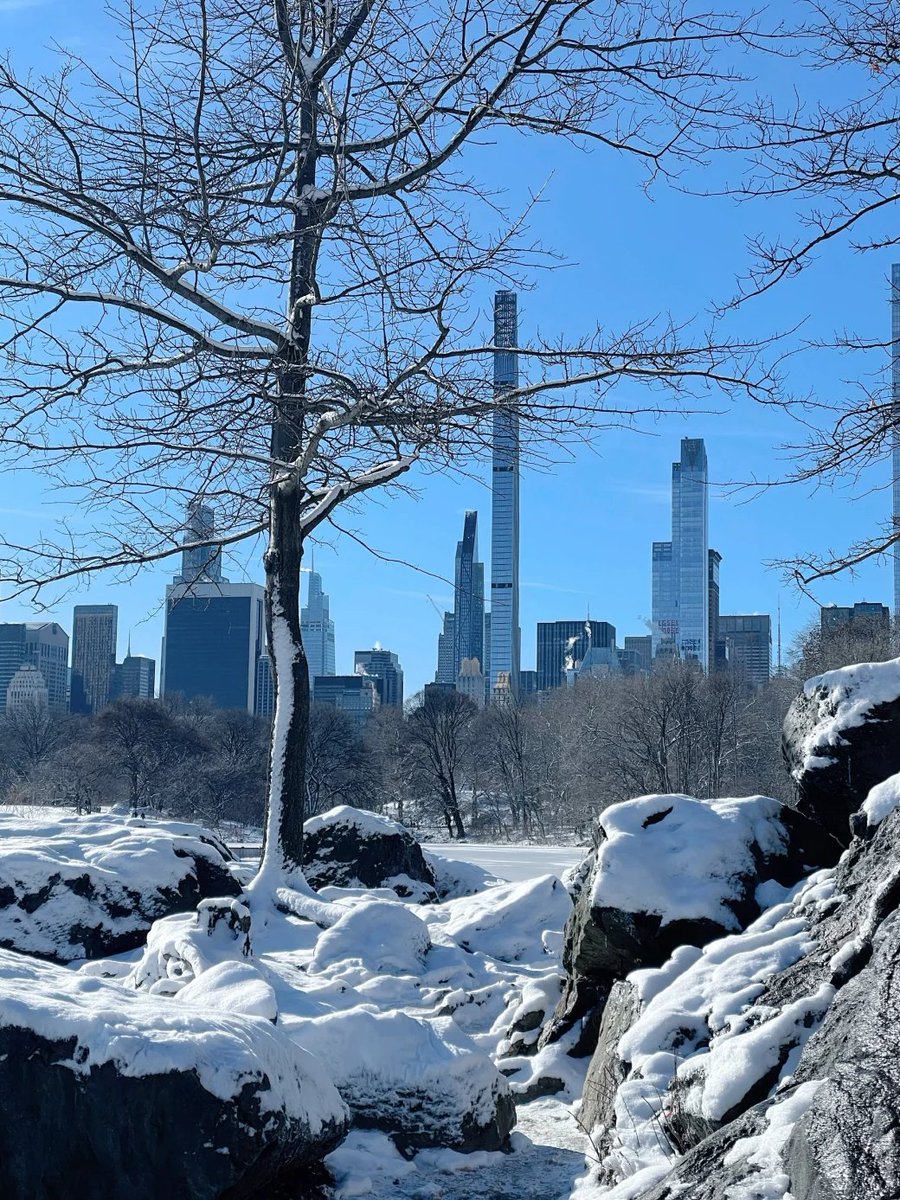Milly_zoneXX's tweet image. New York Central Park after the snow❄️
The air in the morning after the snow is fresh and beautiful. The weather is so good.
The snow-covered Central Park has completely gotten rid of the bleak feeling of deep winter.
Every few steps I want to stop and take a film📸