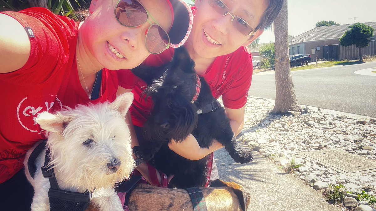 Elva Zhao tweet media