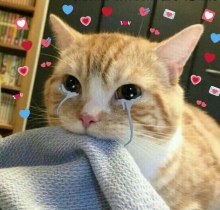 tuarht's tweet image. me rn :