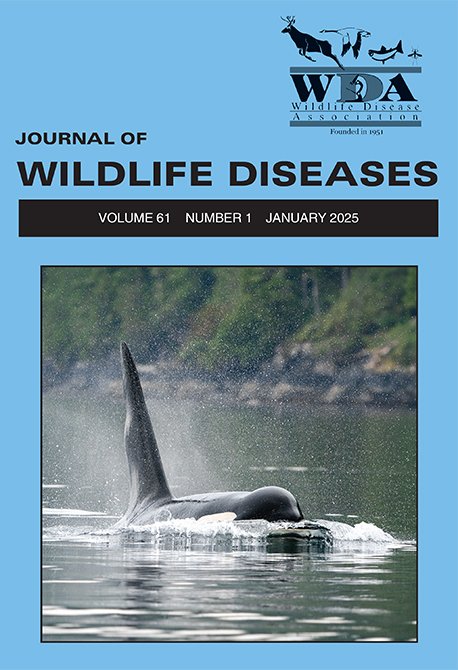START 2025 WITH KILLER RESEARCH
From frigid wastes to the intense African heat, 61(1) of the Journal of Wildlife Diseases offers up cutting edge science on a global scale.
Take that first step today at bit.ly/4aMAYgY