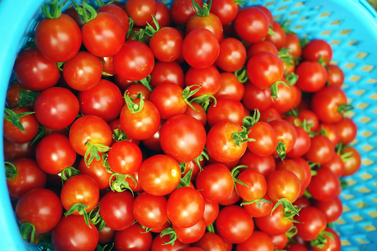 agritrio's tweet photo. 1月31日は #愛妻の日 であると同時に
#愛菜の日 でもあります🥬🍅🌽
野菜生活100でお馴染みのあのカゴメが
「野菜を愛する日」ということで制定したのだとか🍆

この時期は体調を崩しやすいです、野菜の力を借りて健康に冬を乗り越えましょう🧅🥕 https://t.co/ZoJ3sAcaG1