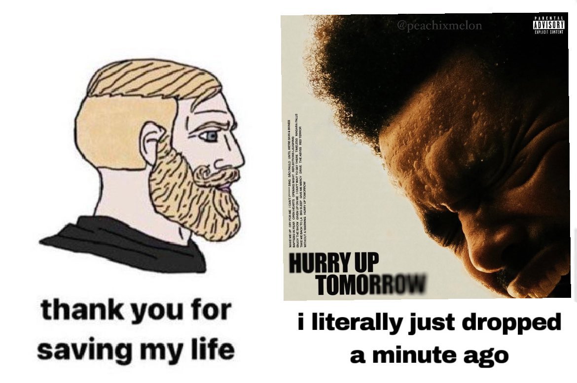 thanks for everything the weeknd.