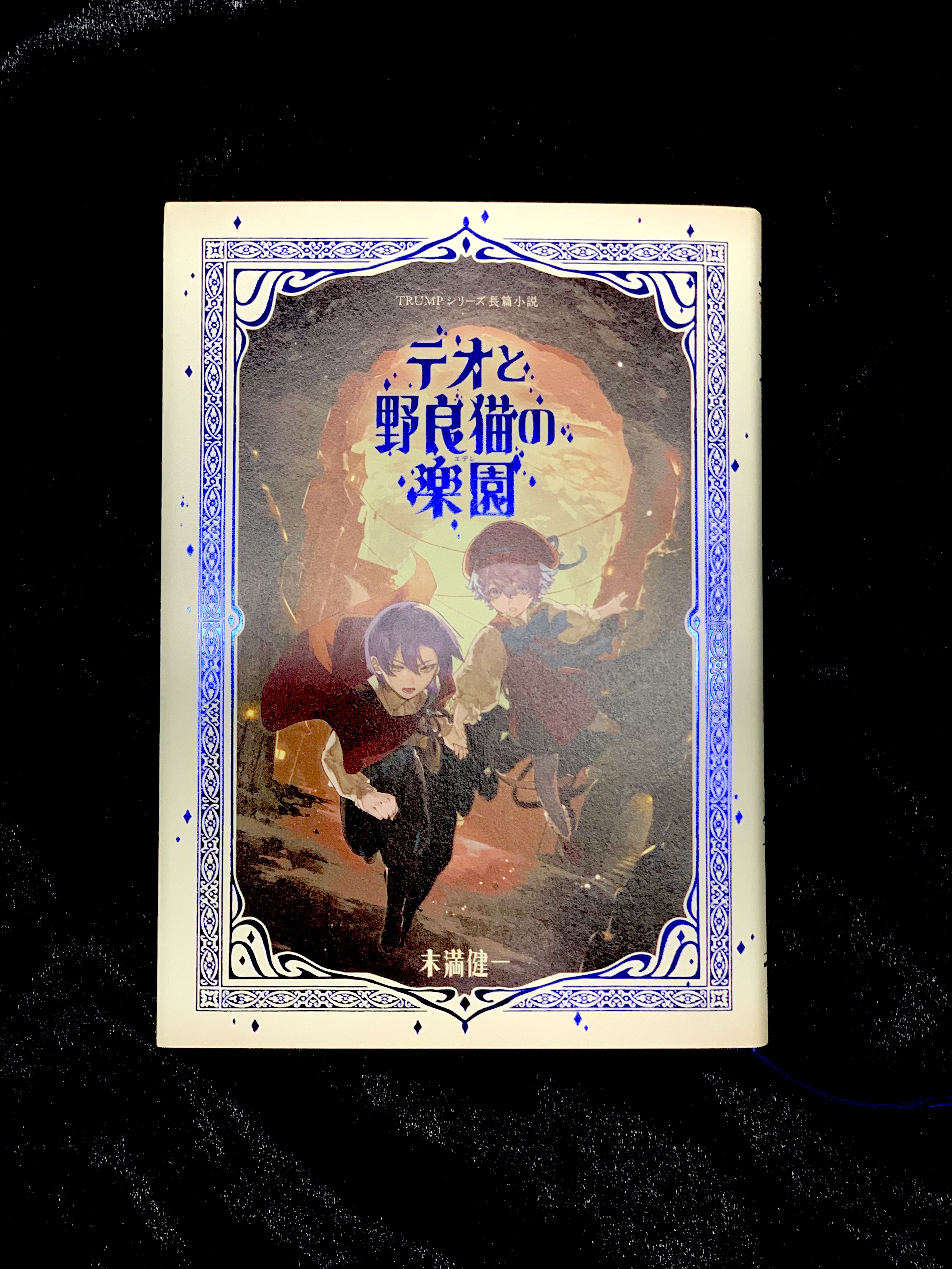 TRUMPシリーズ長篇小説 穏便 テオと野良猫の楽園 TRUMPシリーズ長篇小説 穏便 テオと野良猫の楽園