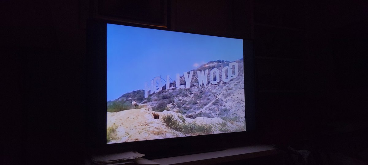 Disneyfan9523's tweet photo. I Just Saw Both Walt Disney's A Country Coyote Goes Hollywood And Walt Disney's Those Calloways On Disney Plus And It Was Amazing! #WaltDisneyArchives #D23 #WaltDisney #WaltDisneyStudios #Disney #DisneyPlus #ACountryCoyoteGoesHollywood #ThoseCalloways https://t.co/rBi2S01t0D