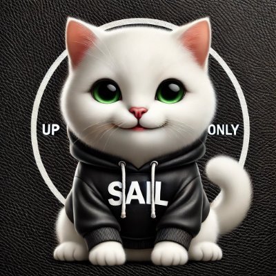 SolanaSail's tweet photo. GMโต๏ธ
21M max supply
No unlimited LP locked
100% Community
we are #SAIL #solanasail
100% support to $FEAR @BitcoinFear #Solana OG @samoyedcoin @SolanaCATO
LFG ๐
ca : 6kwTqmdQkJd8qRr9RjSnUX9XJ24RmJRSrU1rsragP97Y
#SOL https://t.co/xPbEuhdm8m