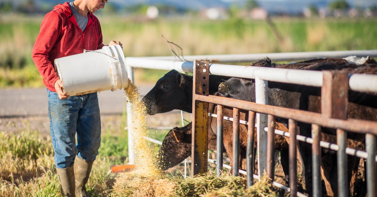 dltledgers tweet media