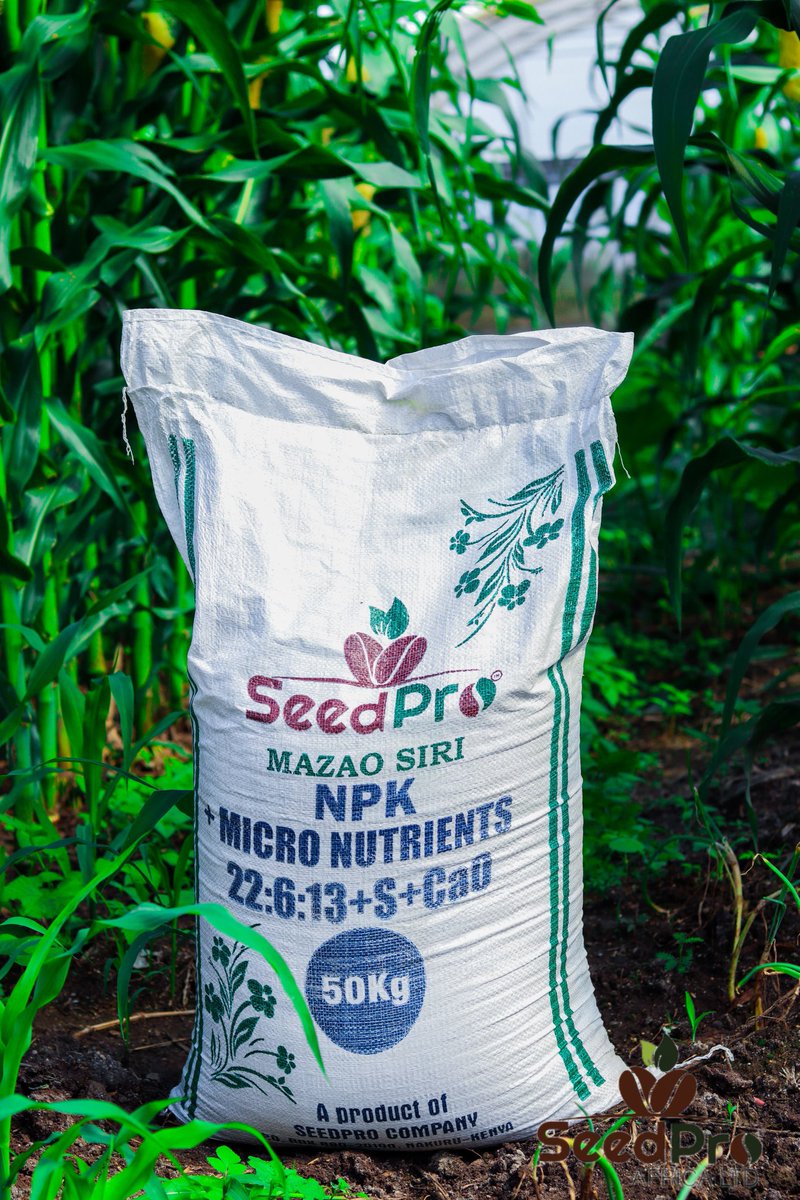 SeedProKenya's tweet image. Fertilizer Friday is here! 
Bila mbolea bora, hakuna mavuno ya maana! SeedPro NPK + Micronutrients ndio siri ya mazao yenye nguvu na afya! 
Unaeza nunulia mzazi SeedPro Fertilizer, na tunadeliver hadi shambani! 
📞 Call 0719332102 to order!
#Fertilizer#MazaoSiri #SeedPro #Friday