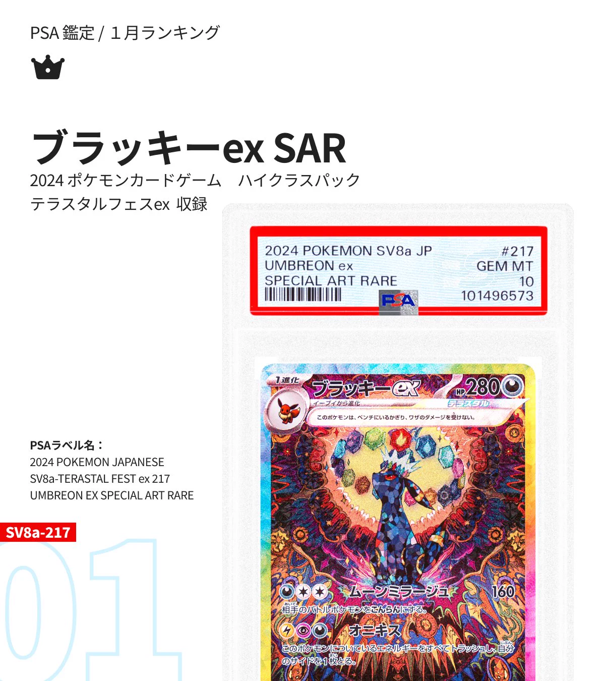 ✨テラスタルフェス✨、SARブラッキー PSA鑑定10❗❗早い者勝ちです❗❗ PSA Japan on X: 