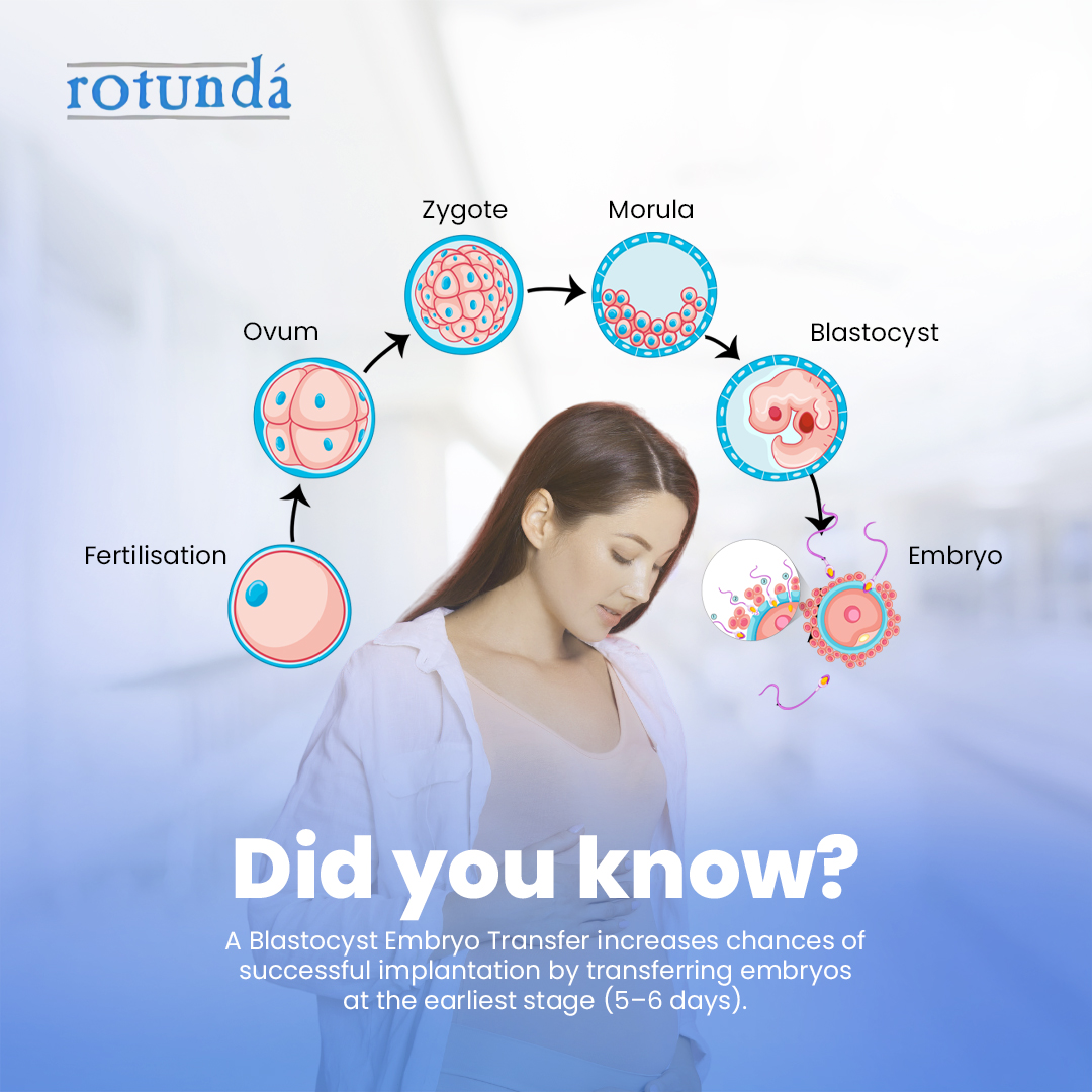 RotundaIVF's tweet photo. Share this post to spread awareness about modern fertility solutions! 

Book your appointments now!
📞 82828 08012
📧 wecare@rotundaivf.com
🌐 https://t.co/uZwNUq9Gci

#Blastocysttransfer #Precisionmedicine #Fertilityjourney #Reproductivehealth #Embryocare #IVF #rotundaivf https://t.co/Whsc8IWfou