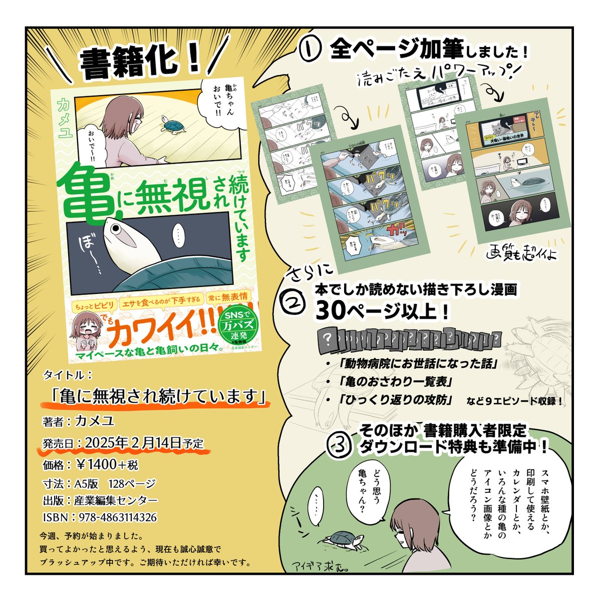 亀ちゃんクッション(大)の商品購入ページ｜クリエイターのオリジナル